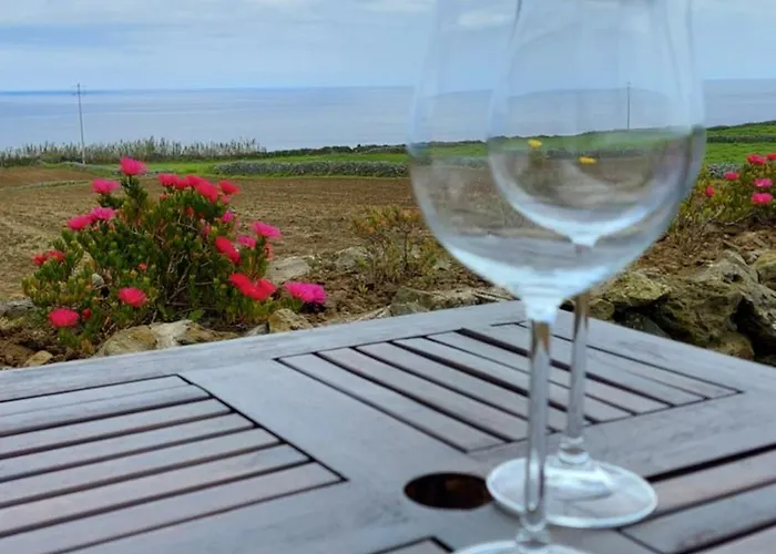 펜션 Casa Do Facho